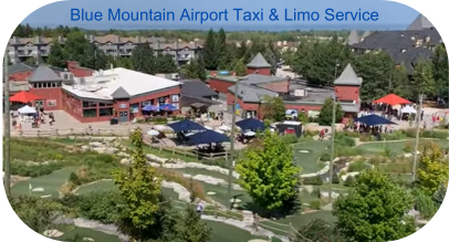 Comfortable limo service from Blue Mountain to Pearson Airport